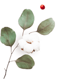 floating_image_06 https://viragszepdekor.hu/wp-content/uploads/2020/10/floating_image_06.png
