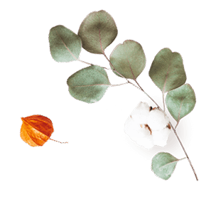 floating_image_07 https://viragszepdekor.hu/wp-content/uploads/2020/10/floating_image_07.png