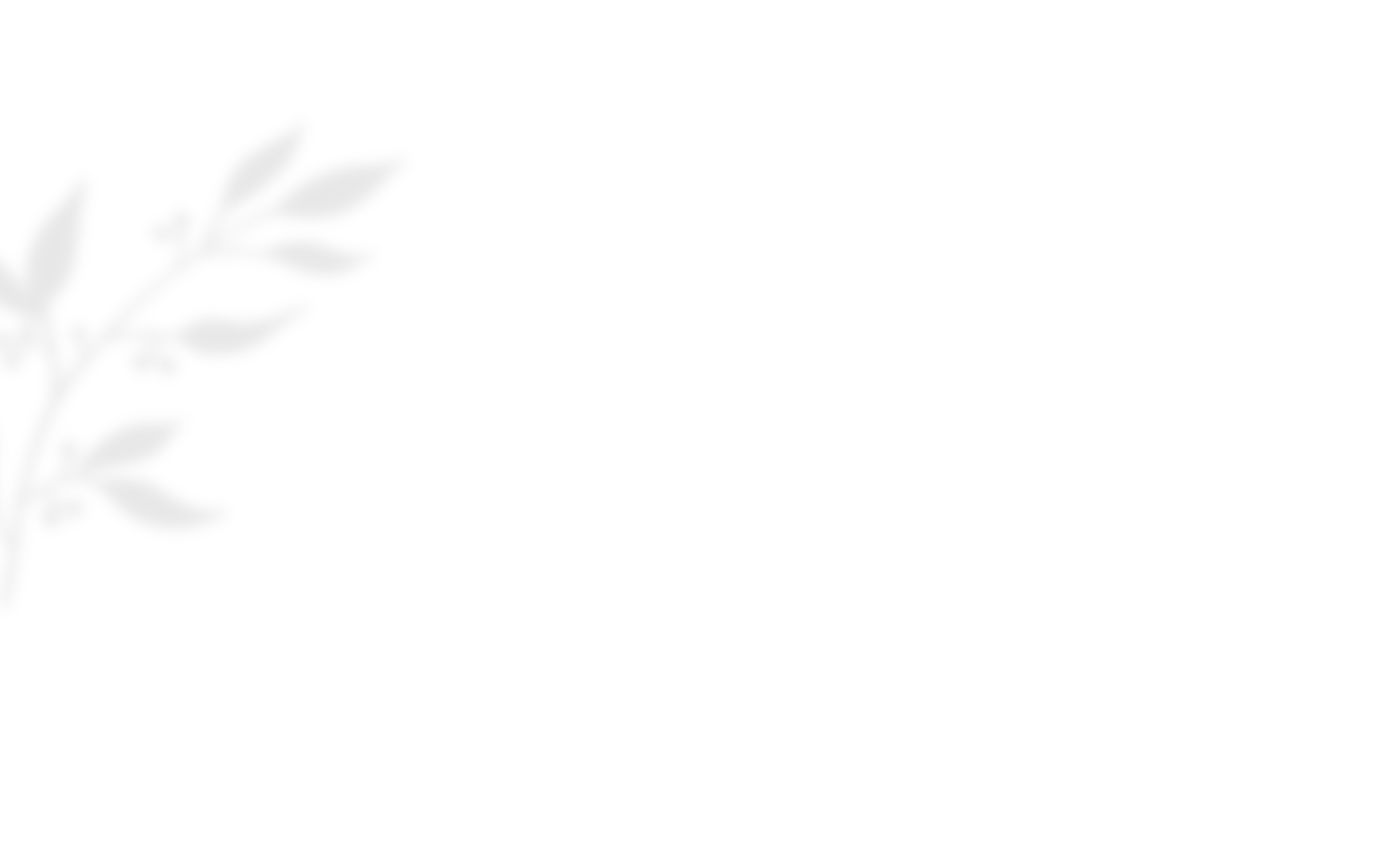 shadow_leaves_03 https://viragszepdekor.hu/wp-content/uploads/2020/10/shadow_leaves_03.png