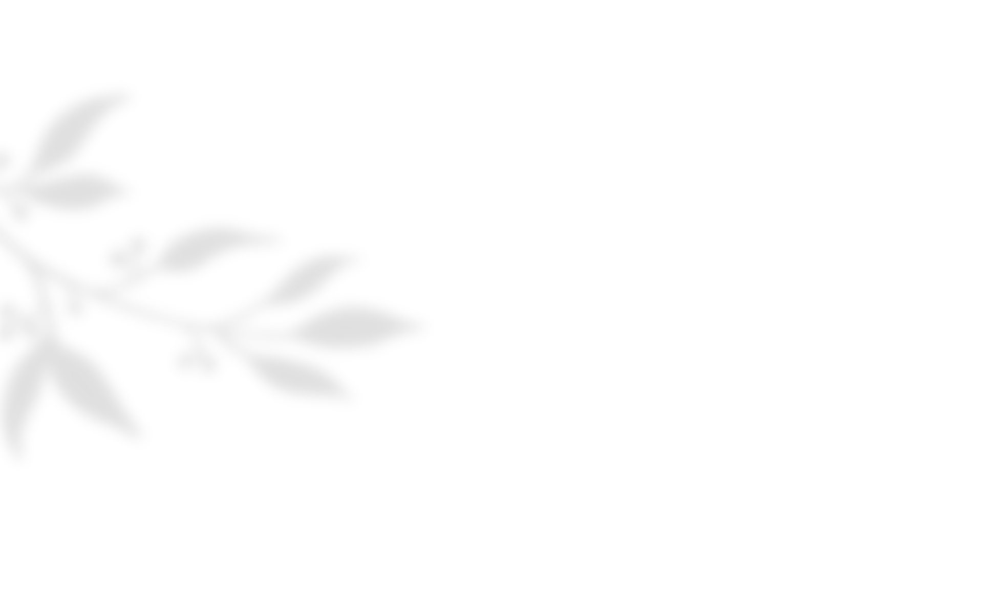shadow_leaves_04 https://viragszepdekor.hu/wp-content/uploads/2020/10/shadow_leaves_04.png