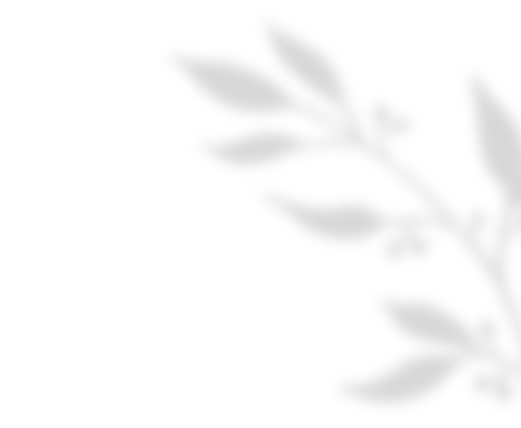 shadow_leaves_01 https://viragszepdekor.hu/wp-content/uploads/2020/11/shadow_leaves_01.png